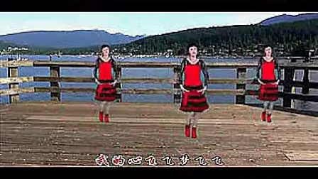 惠汝广场舞歌在飞 含背面分解动作 标清
