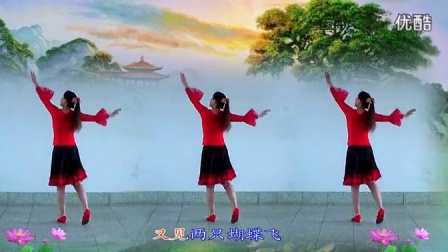 金灿灿广场舞《又见两只蝴蝶飞》广场舞教学