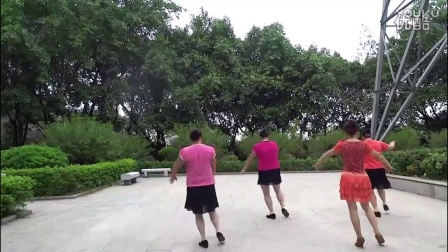 广场舞大街小巷都听我的歌紫蝶踏歌广场舞
