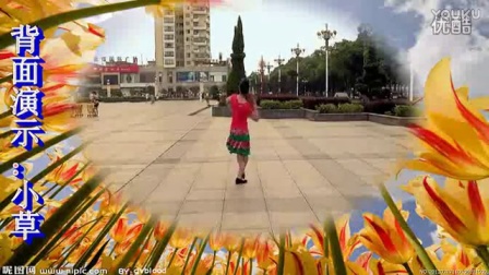 《草原一枝花》高安子君广场舞（附背面和分解