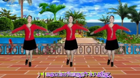 2017最新广场舞教学《追梦人》正反面演示