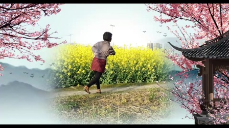 表演镜湖秋月高安子君广场舞《油菜花开》含