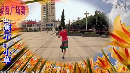高安子君广场舞《草原一枝花》梦想生意
