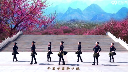 《红梅赞 正背表演与动作分解》杨艺立华广场舞下载