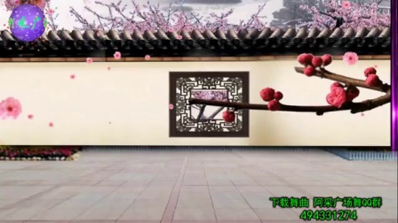 2017最新广场舞《一吻红尘》阿采广场舞234 