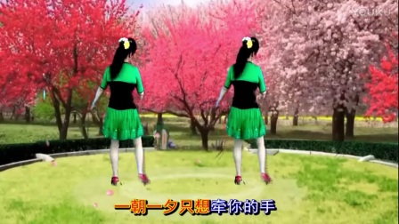 最新吕芳广场舞《想你想不够》简单优美好学