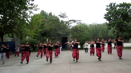 追艺广场舞迪斯科《溜溜的她》下载