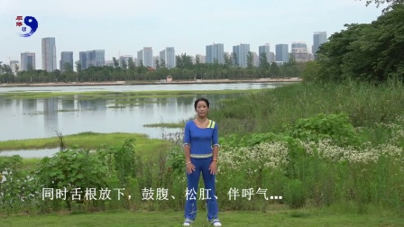 中医健身操中老年广场舞《康复保健操》收腹