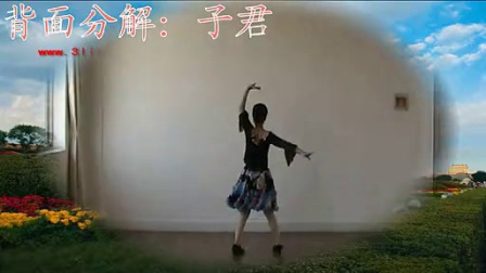 高安子君广场舞《站在草原望北京》分解和背