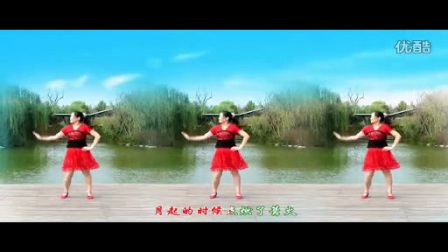 金灿灿广场舞《花开的时候你就来看我》标清