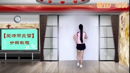 新风尚广场舞《爱情雨夹雪DJ》标清