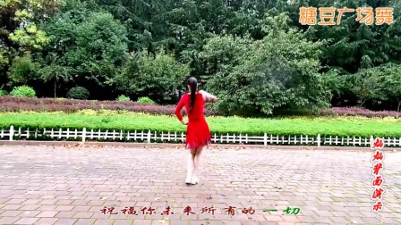 金灿灿广场舞 预约DJ 背面