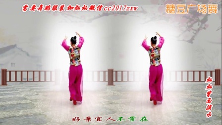 金灿灿广场舞《花好月圆》