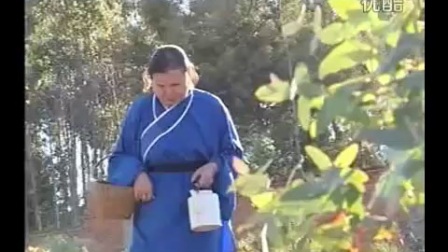 云南 贵州山歌剧《丁郎刻木》下载