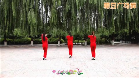 云裳广场舞《花开为你开》高清