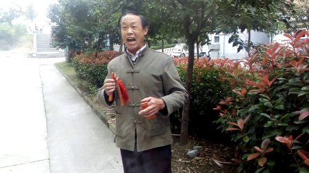 枣庄莲花落大鼓书老艺人张继斌说唱《铁道游