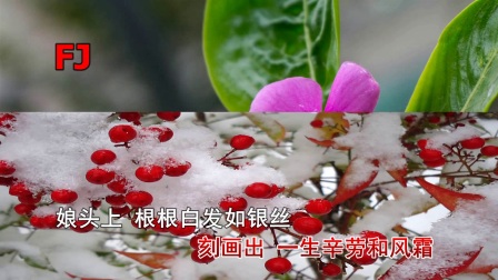扬剧伴奏《孔繁森》经典唱段《感谢娘》