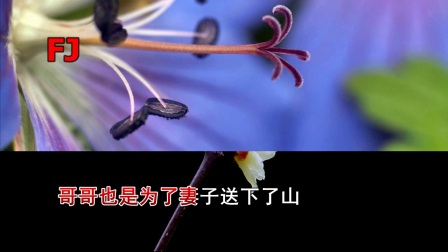 扬剧伴奏《梁山伯与祝英台》选段《单下山》