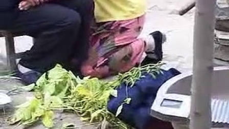 民间小调《两个儿子不要娘》第三集 安徽民