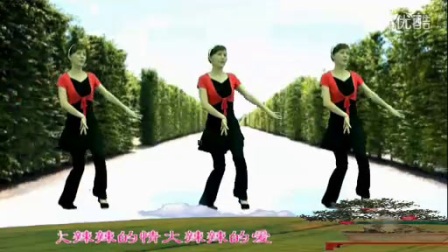 惠汝广场舞《火辣辣的爱》标清