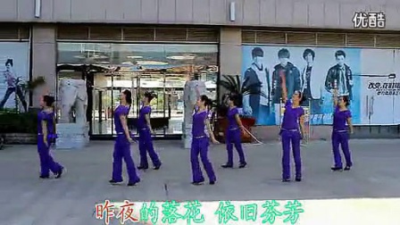 高安子君广场舞《水乡新娘》附背面和分解