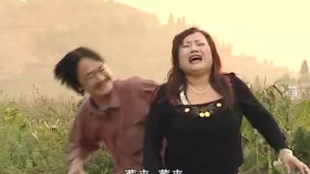 云南山歌剧《错入洞房3》标清