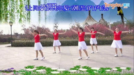 江南雨广场舞《辣妈》团队版
