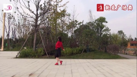美久广场舞《我不是那种随便的人》背面下载