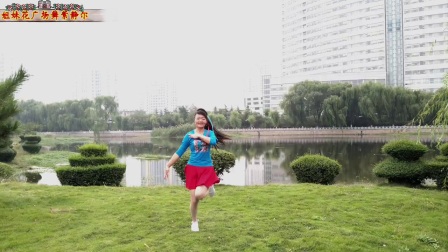 姐妹花广场舞紫静尔《中国梦》编舞