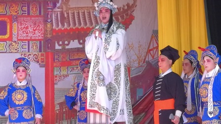 姜立军演唱《豫剧唐派》南阳关