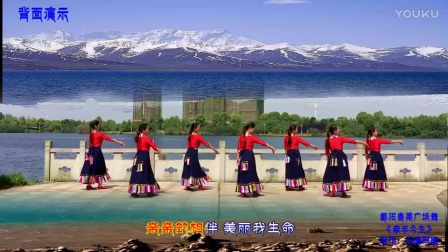 春英广场舞《牵手今生》编舞応子春英制作心