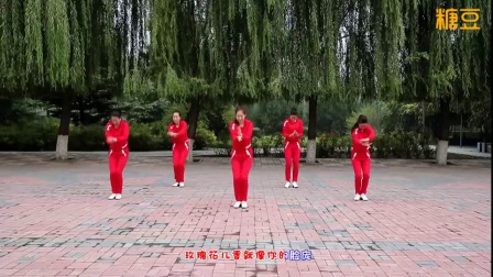 云裳广场舞《玫瑰花儿香》背面