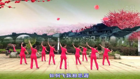 《万水千山总是爱》春英广场舞含背面分解