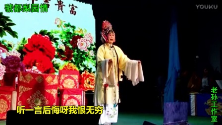 豫剧《风雨情缘》选段《恼恨爹爹心不正》