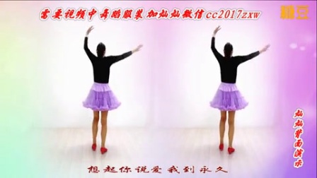 金灿灿广场舞《晚秋》高清