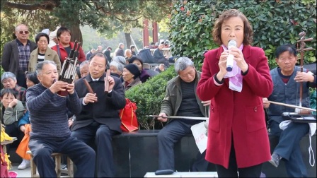 太和公园袁国华剧场豫剧选段