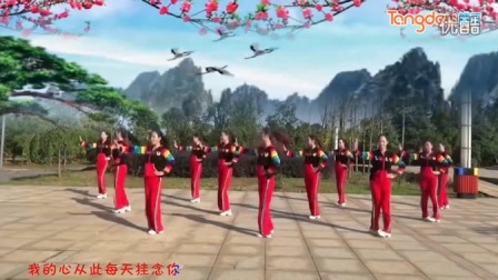春英广场舞《真心换真情》正背面演 高清