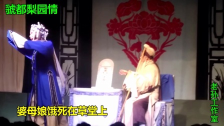 邵桃云菜园乡中庄村领衔主演《卖苗郎》选段