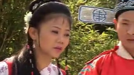 庐剧《血手印》4下载