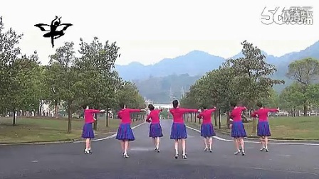 紫蝶广场舞《想起了你》《工农广场舞新舞教