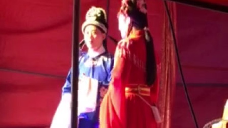 庐剧现场张天秀私访
