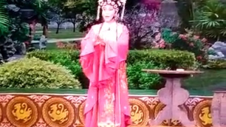 白字戏《金叶菊》下载