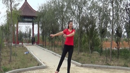 贞贞广场舞《欢乐激情》编舞応子