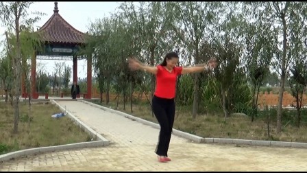 贞贞广场舞《欢乐激情》编舞 応子