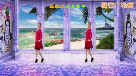 云裳广场舞《独爱一枝花》高清