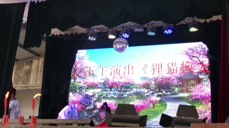 宁都采茶戏《狸猫换太子三》