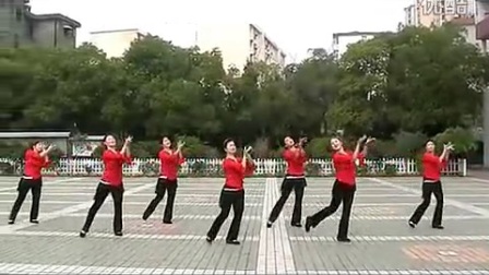 《油菜花儿开》附背面分解和演示 高安子君