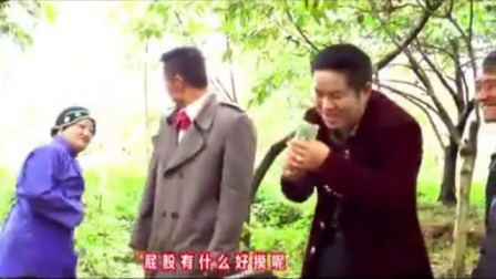 云南贵州山歌《老年的青春期》下载