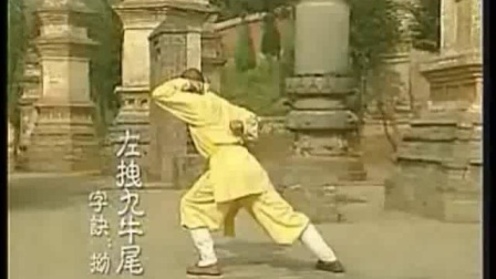 易筋经 少林释延王示范