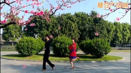 动动广场舞广场舞大全2017最新